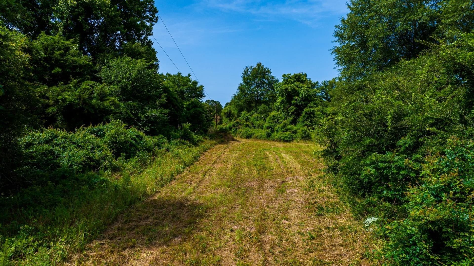 55 acres in Cass County - photo 11