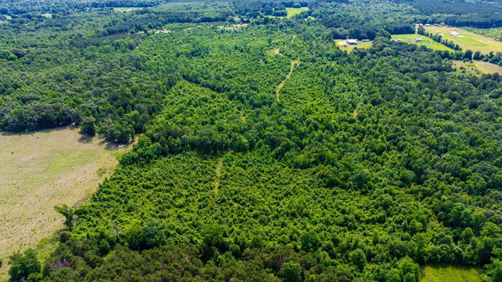 55 acres in Cass County - photo 23