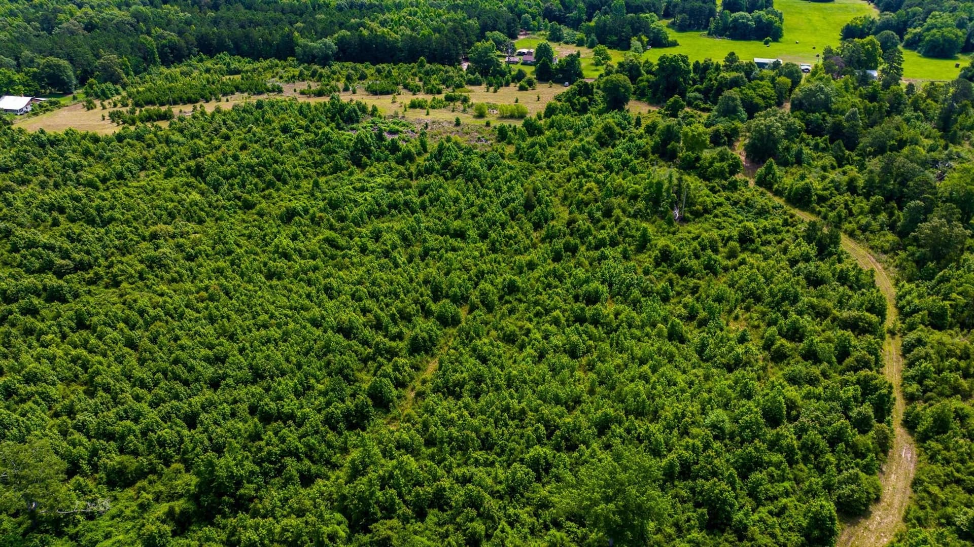 55 acres in Cass County - photo 28