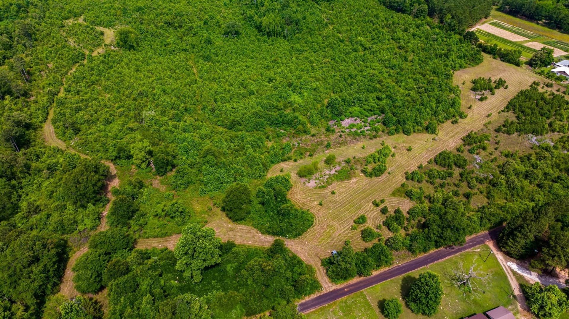 55 acres in Cass County - photo 3