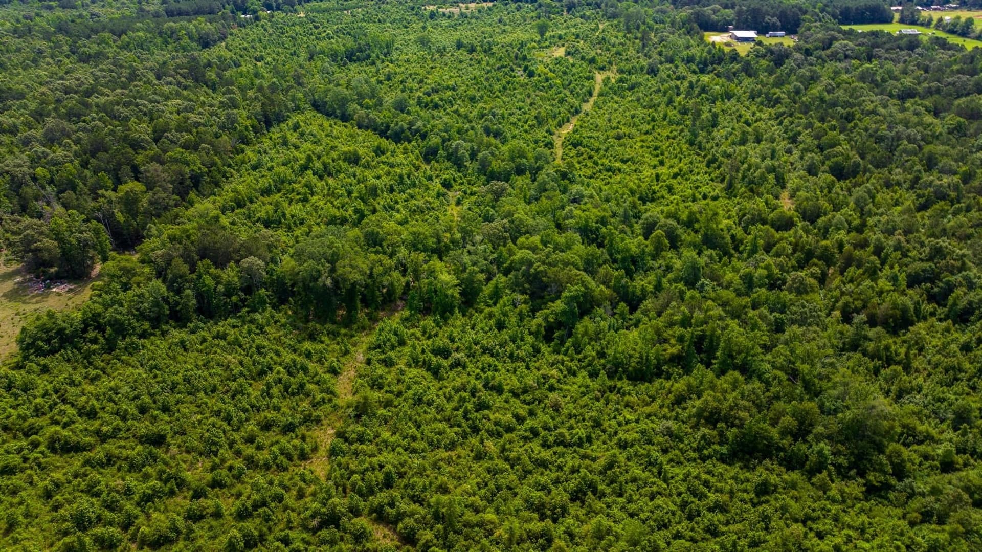 55 acres in Cass County - photo 24