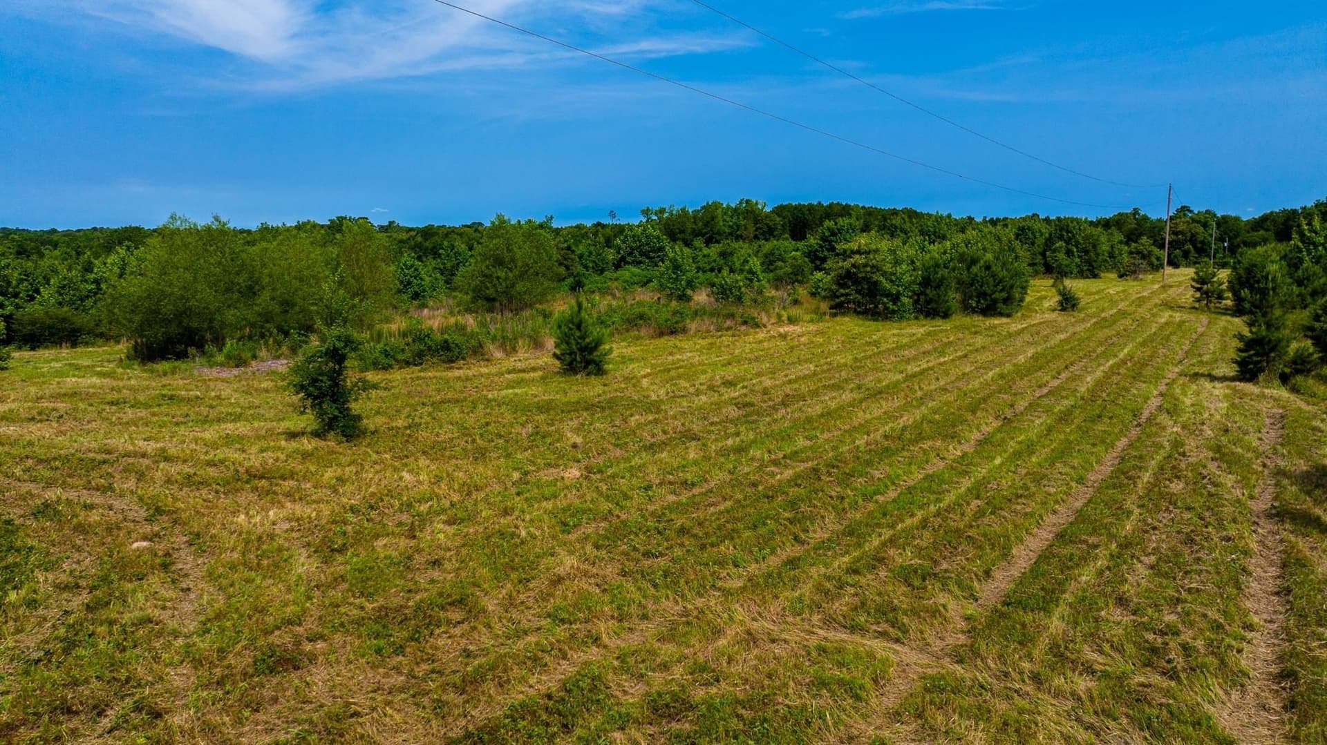 55 acres in Cass County - photo 9