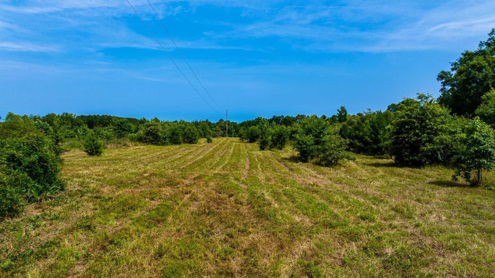 55 acres in Cass County - photo 12