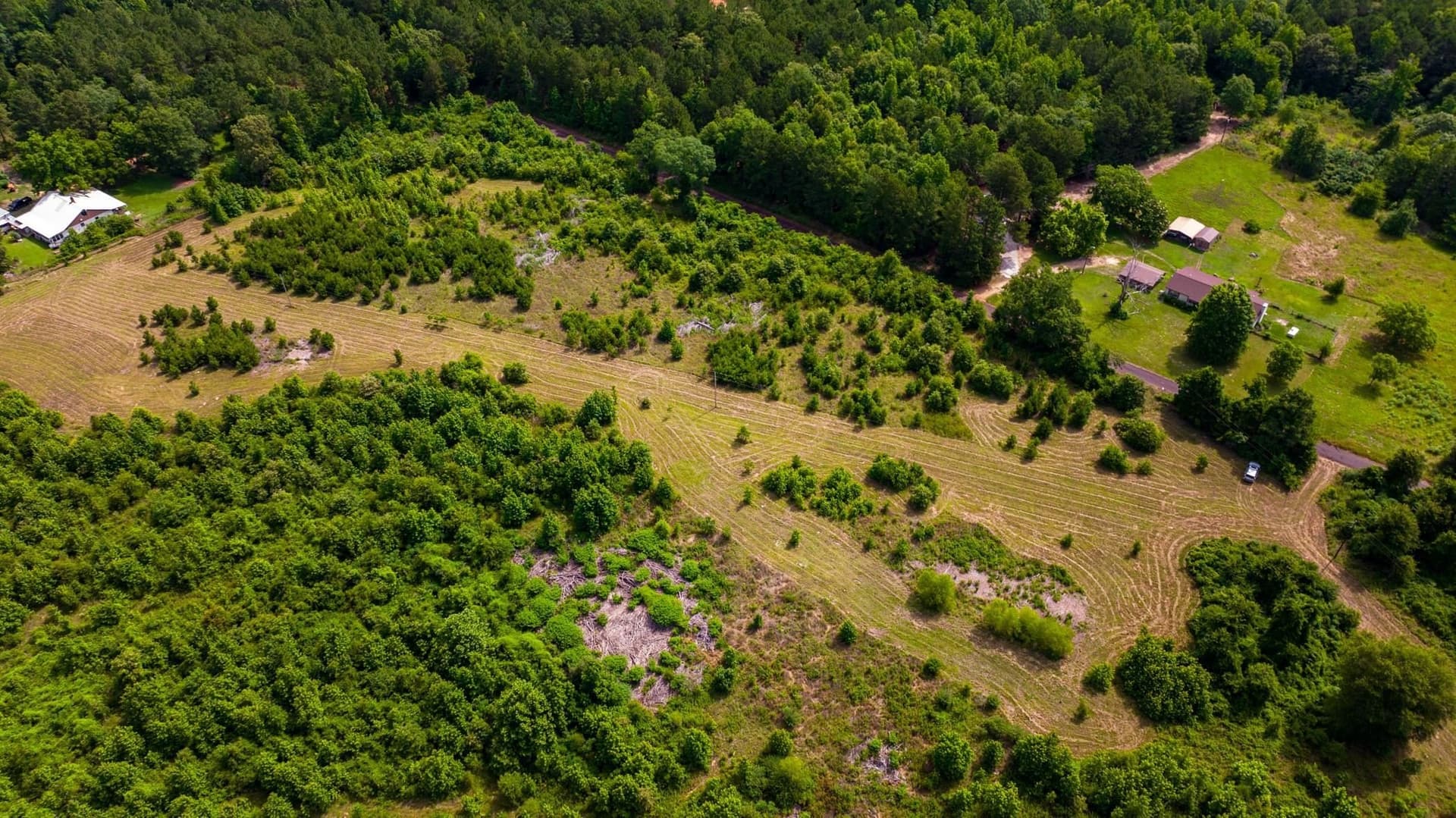 55 acres in Cass County - photo 6