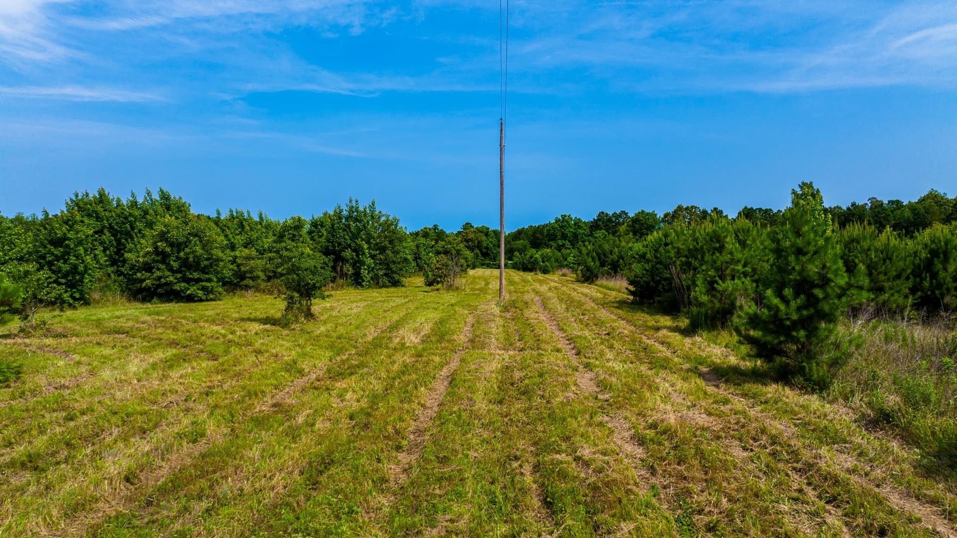 55 acres in Cass County - photo 15
