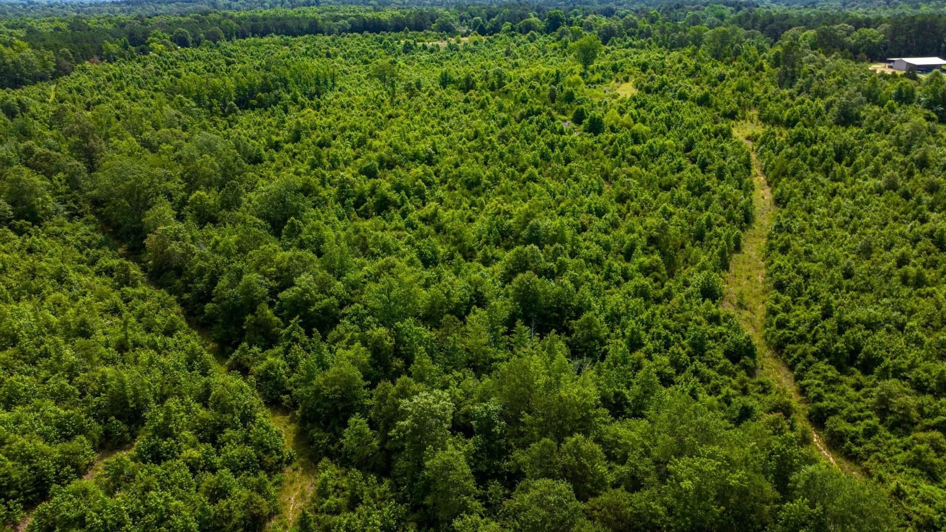 55 acres in Cass County - photo 26