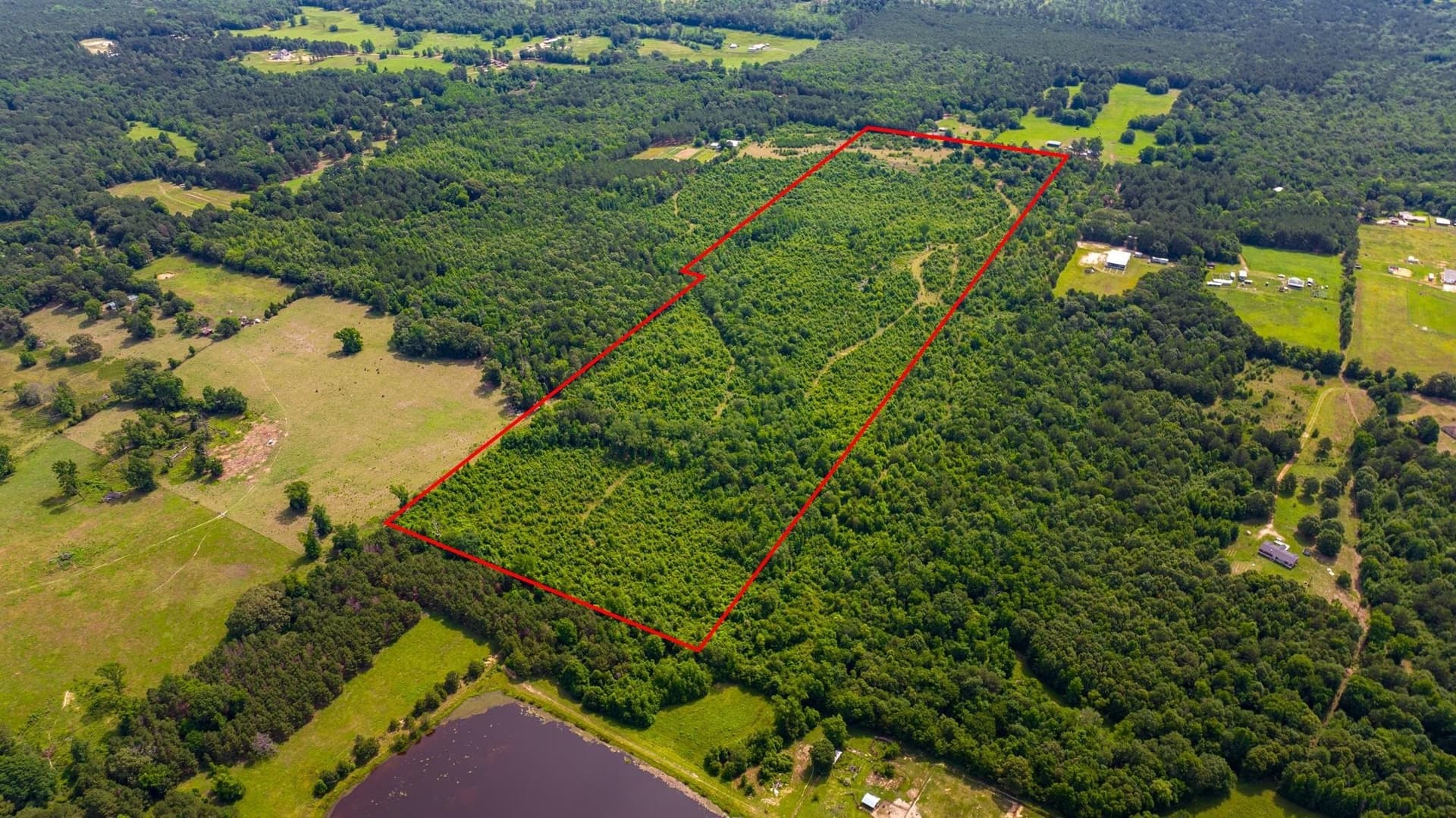 55 acres in Cass County - photo 22