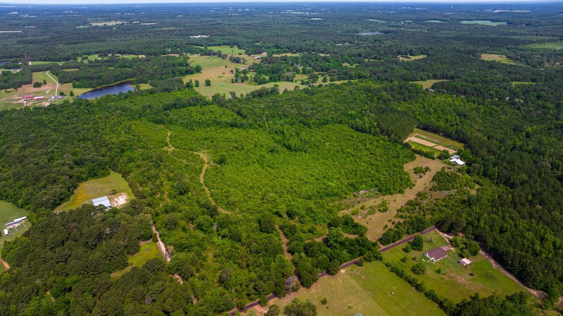 55 acres in Cass County - photo 19