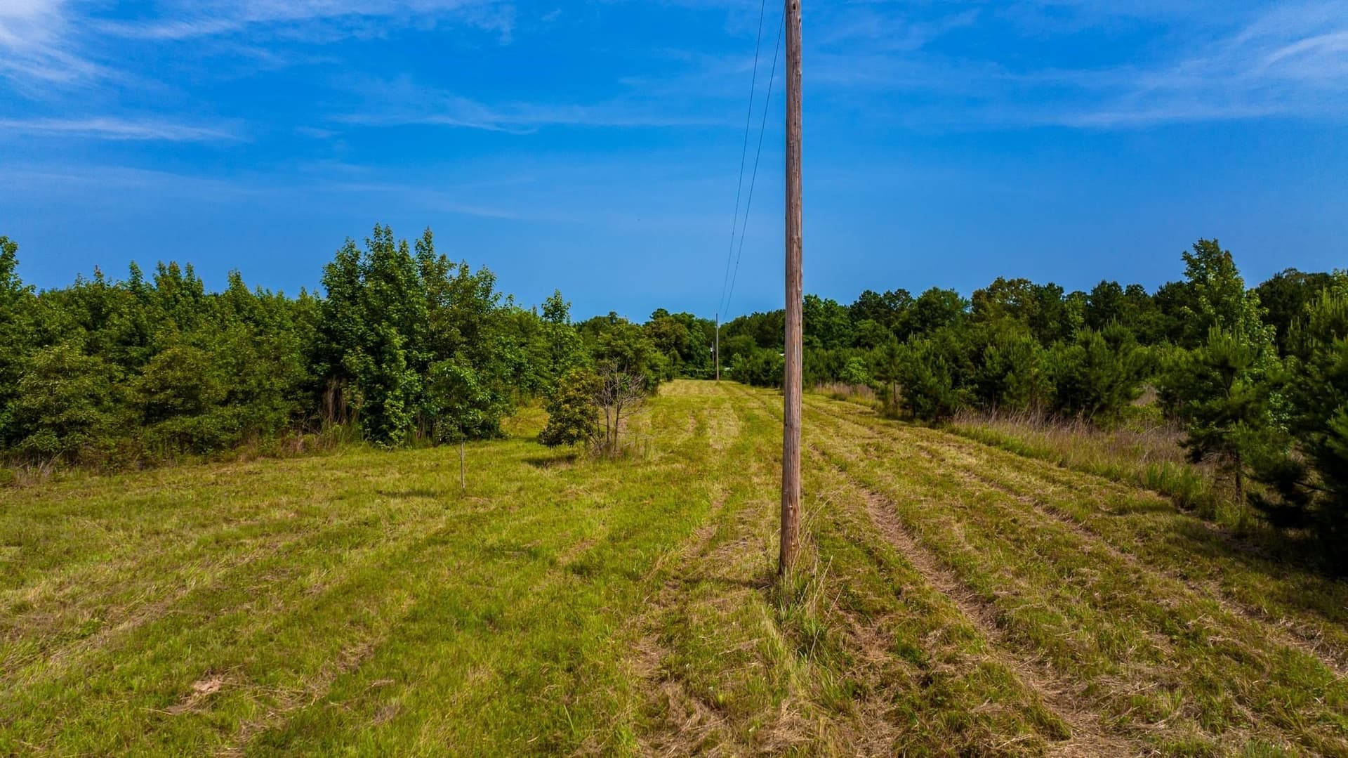 55 acres in Cass County - photo 16