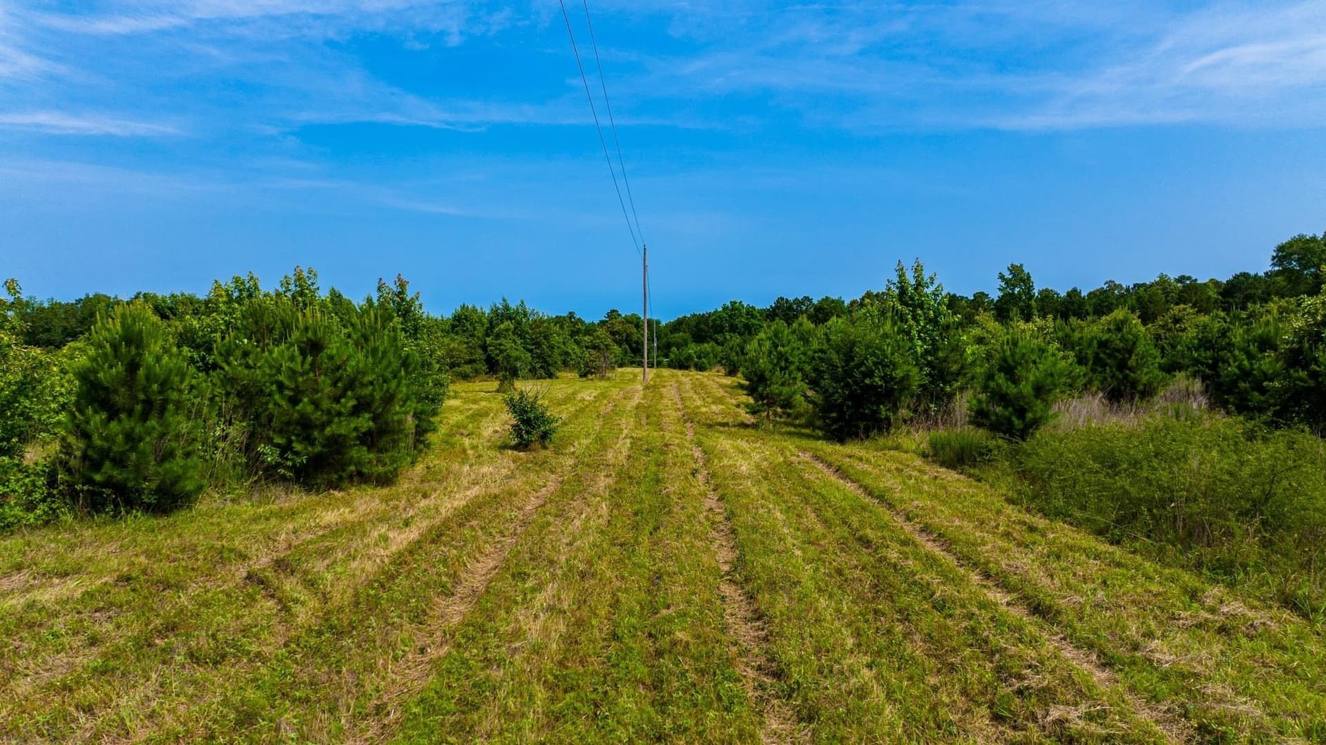 55 acres in Cass County - photo 14