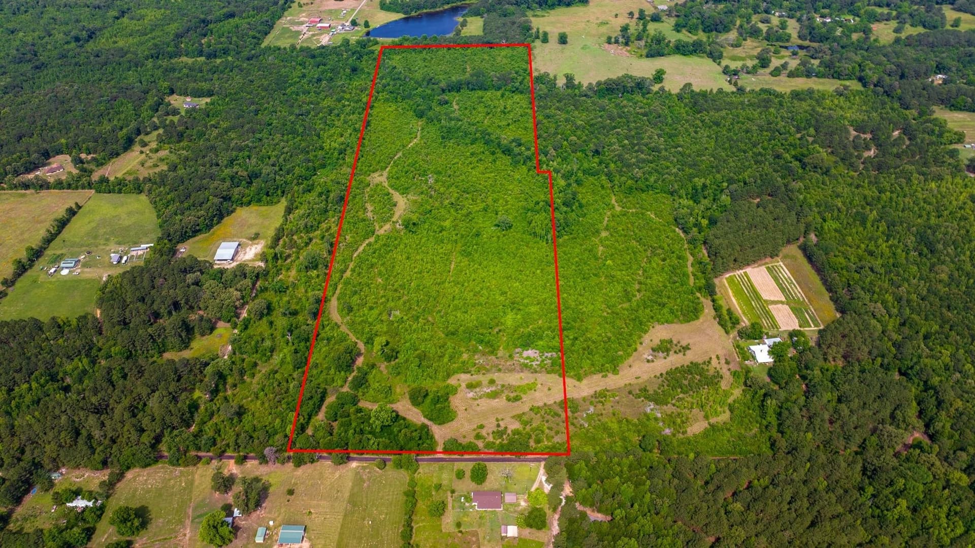 55 acres in Cass County - photo 18