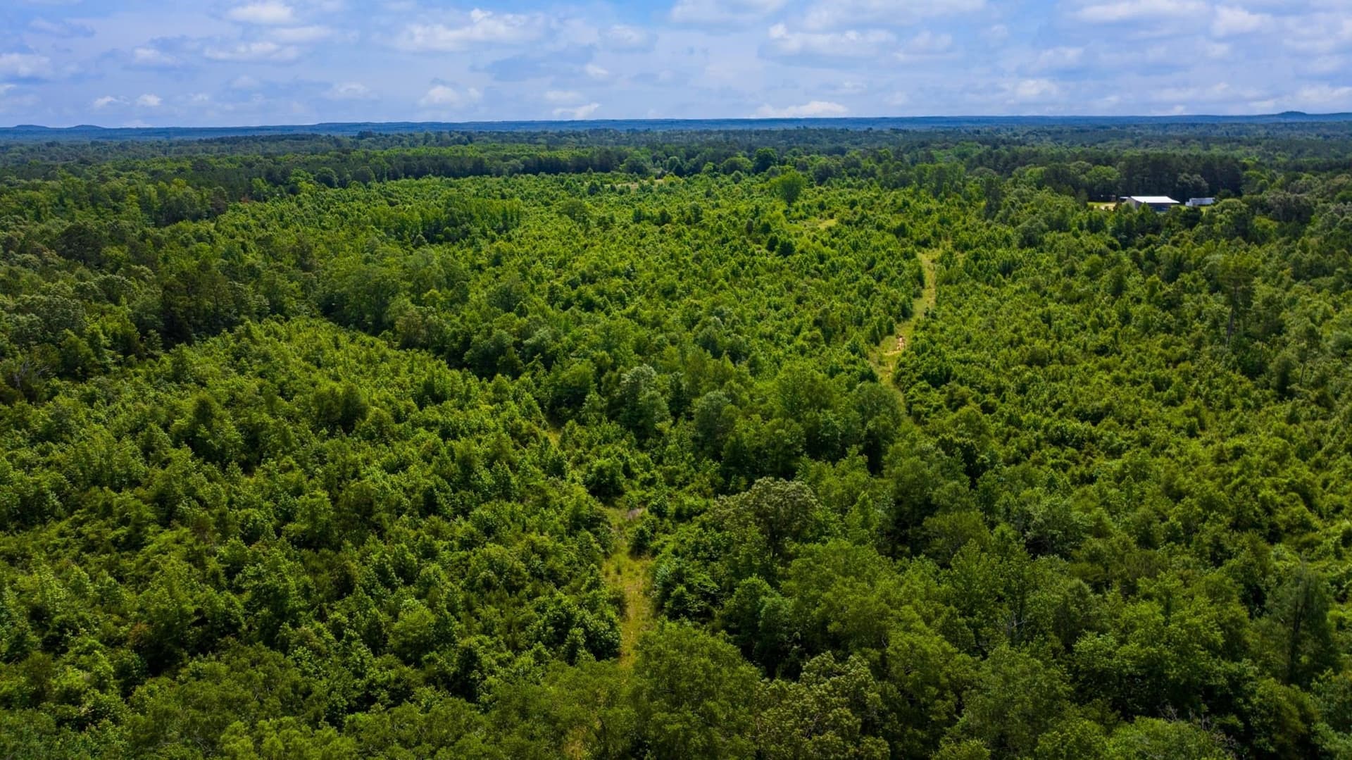 55 acres in Cass County - photo 25