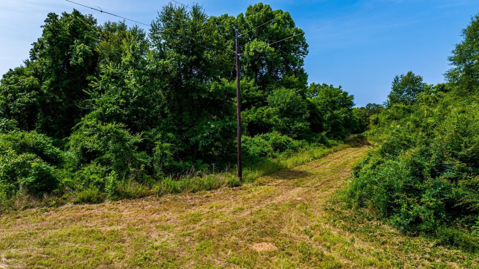 55 acres in Cass County - photo 10