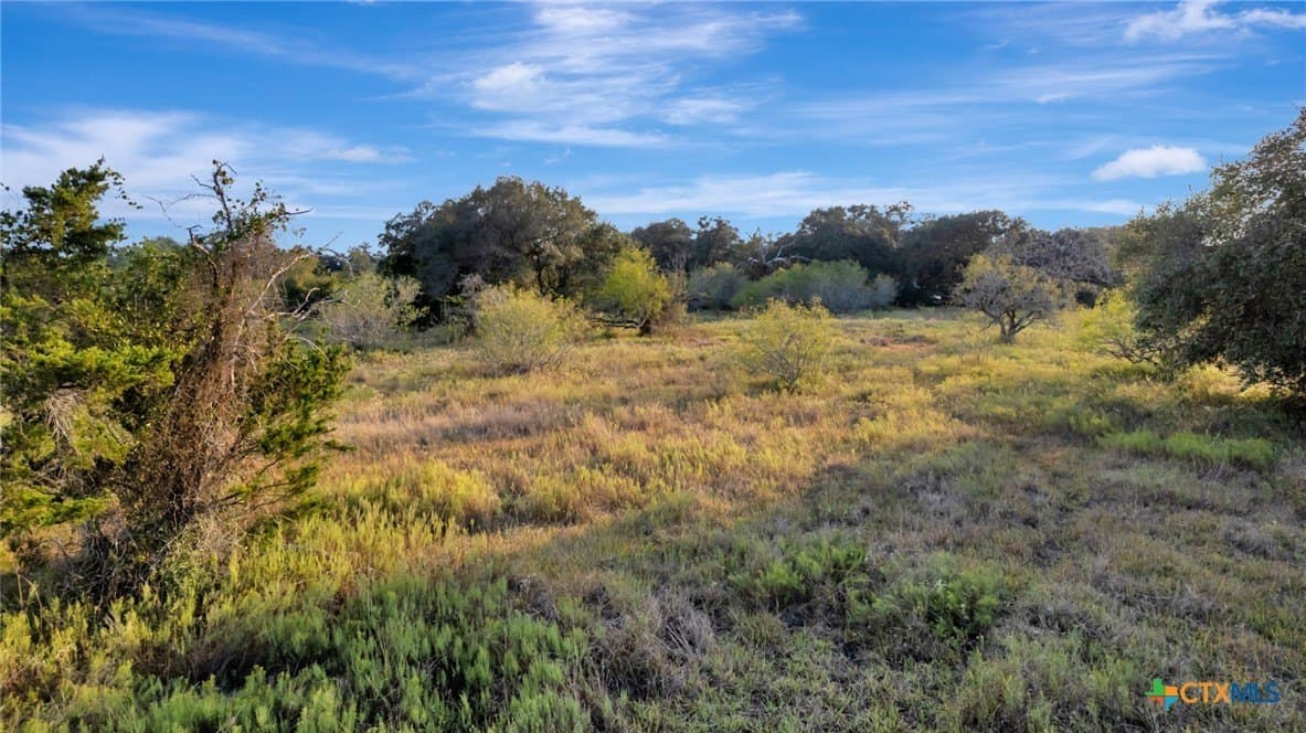 11 acres in Jackson County - photo 7