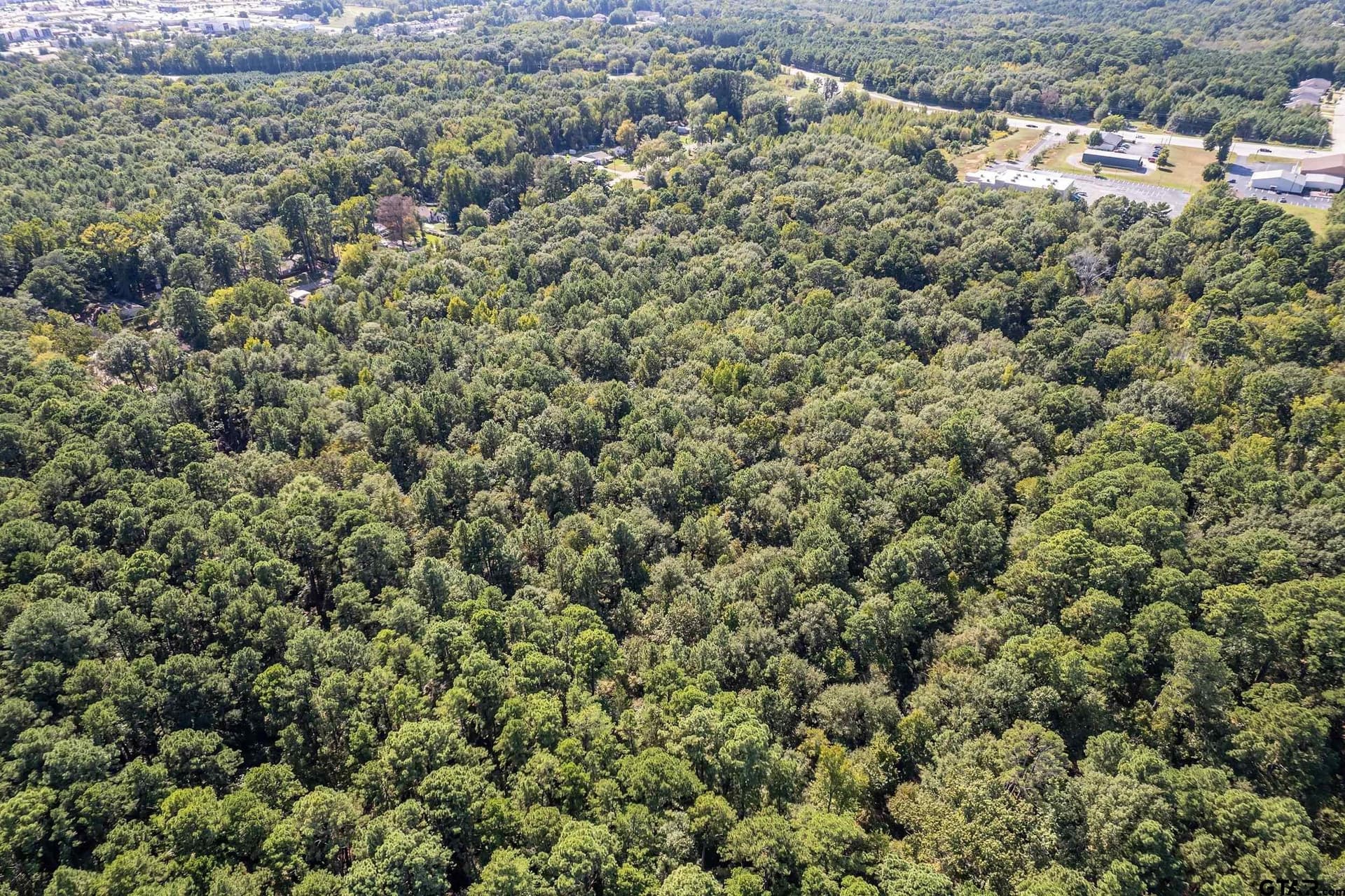 30 acres in Gregg County - photo 5