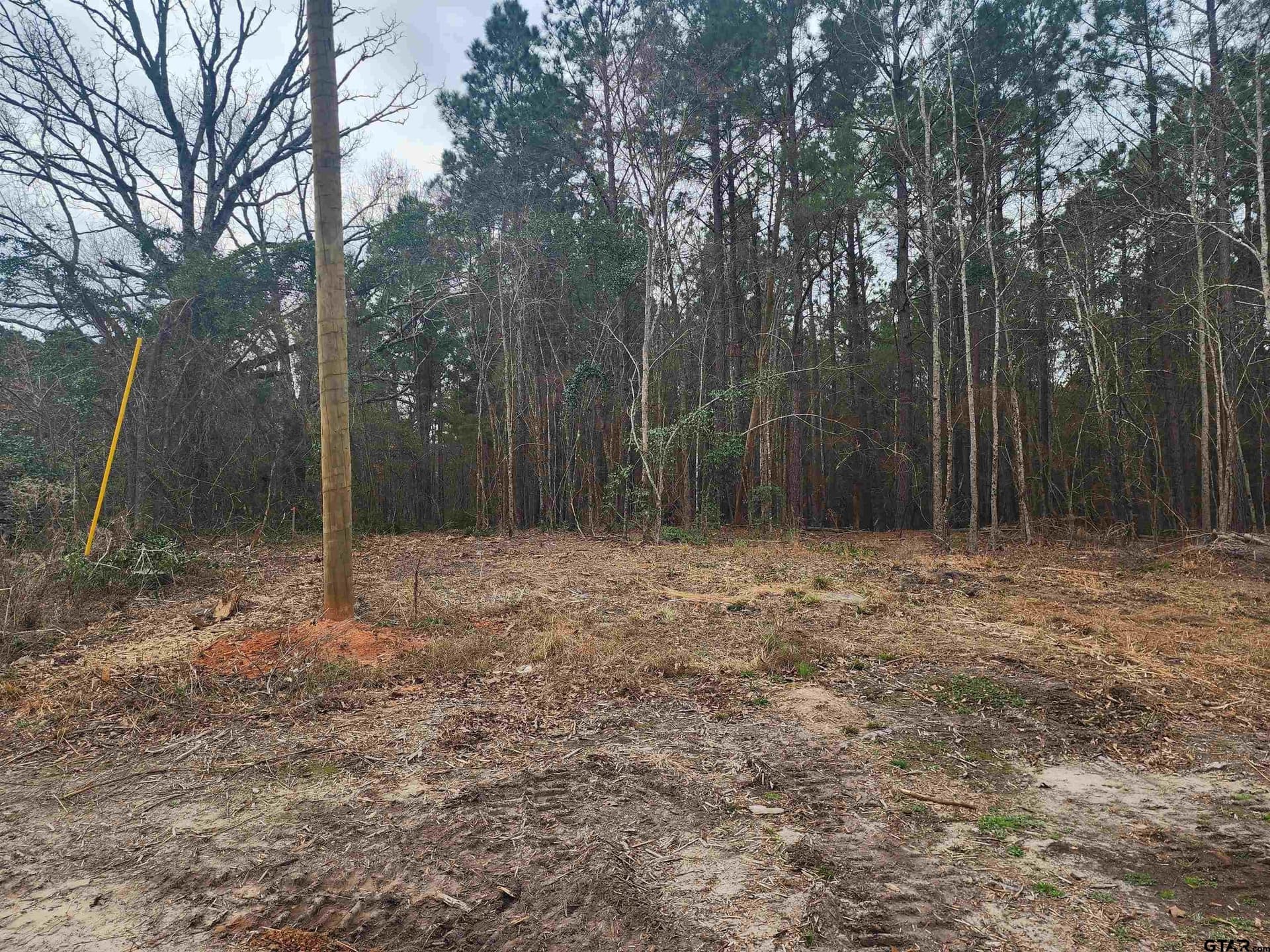 22.22 acres in Morris County - photo 3