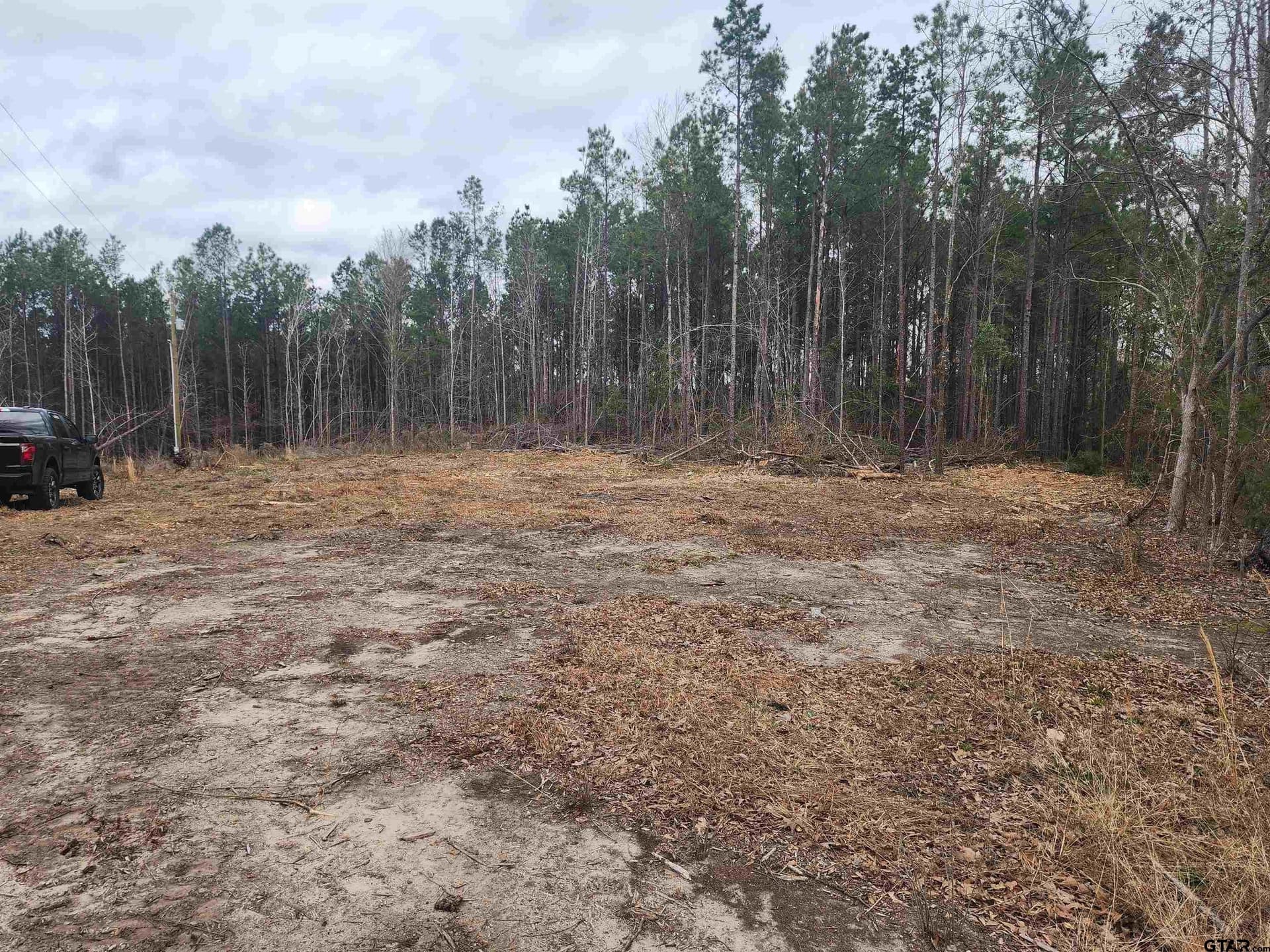 22.22 acres in Morris County - photo 4