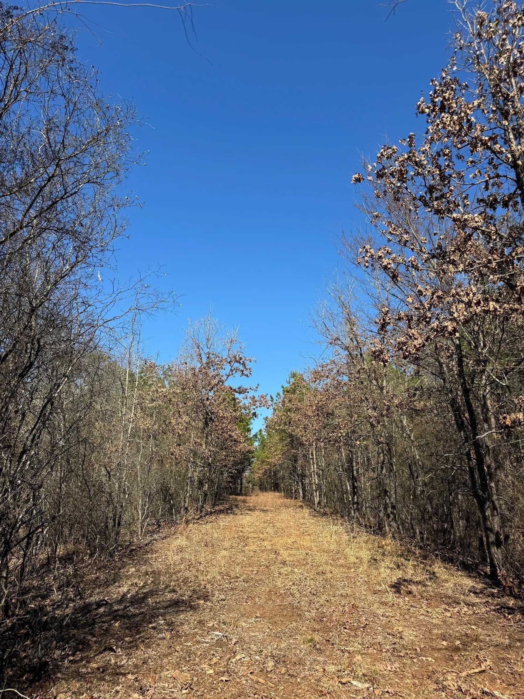 12.2 acres in Morris County - photo 4