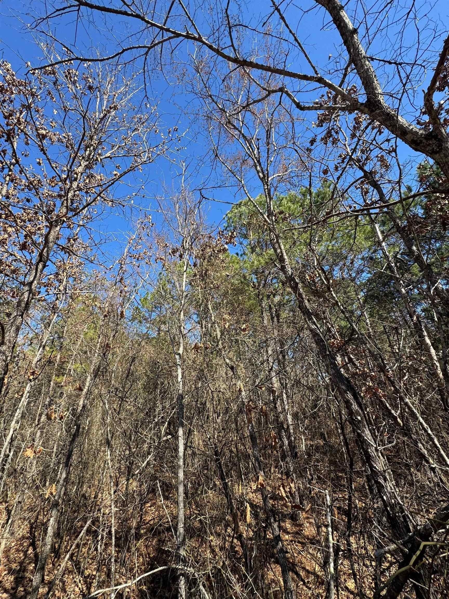 12.2 acres in Morris County - photo 11