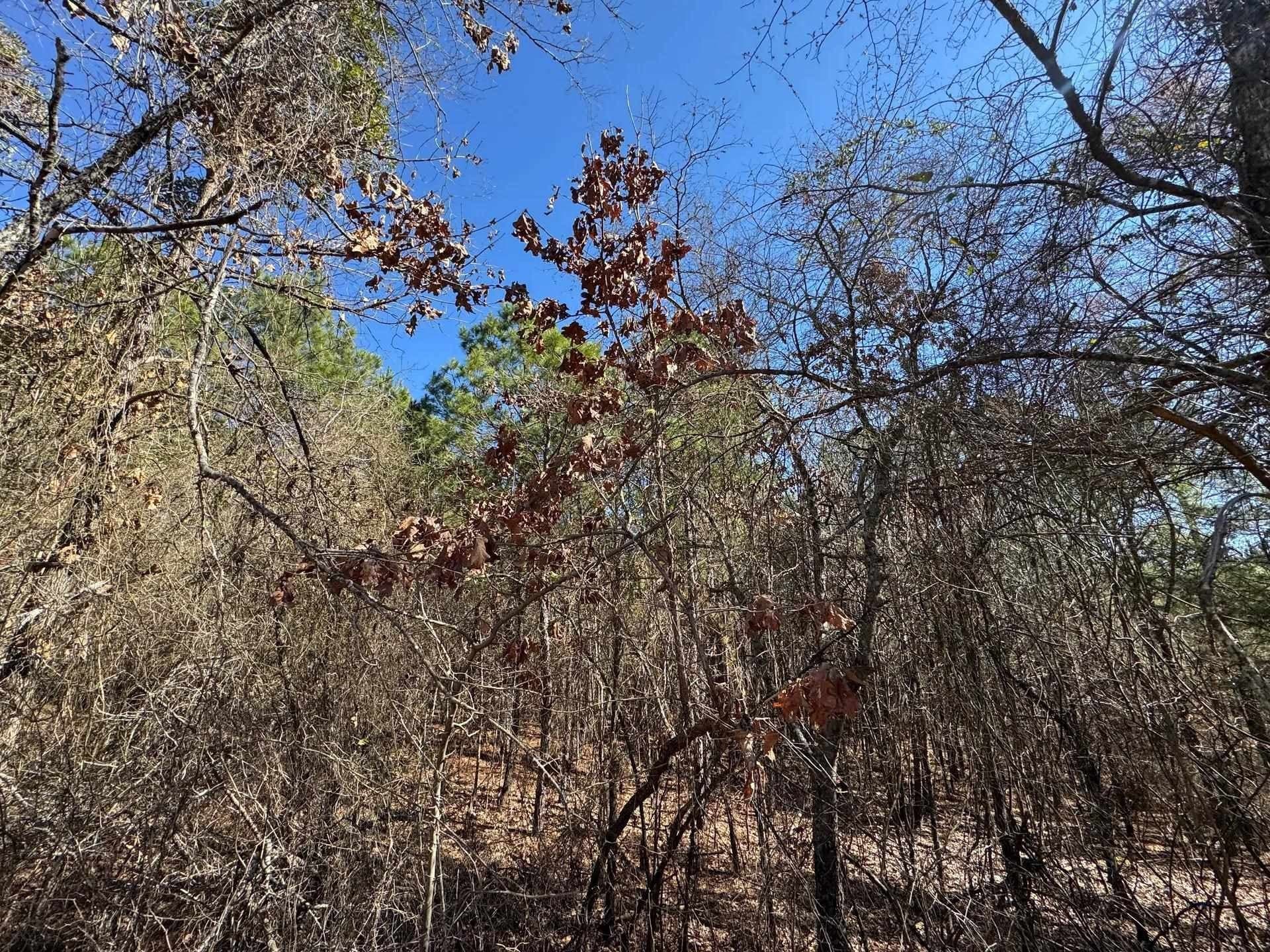 12.2 acres in Morris County - photo 5