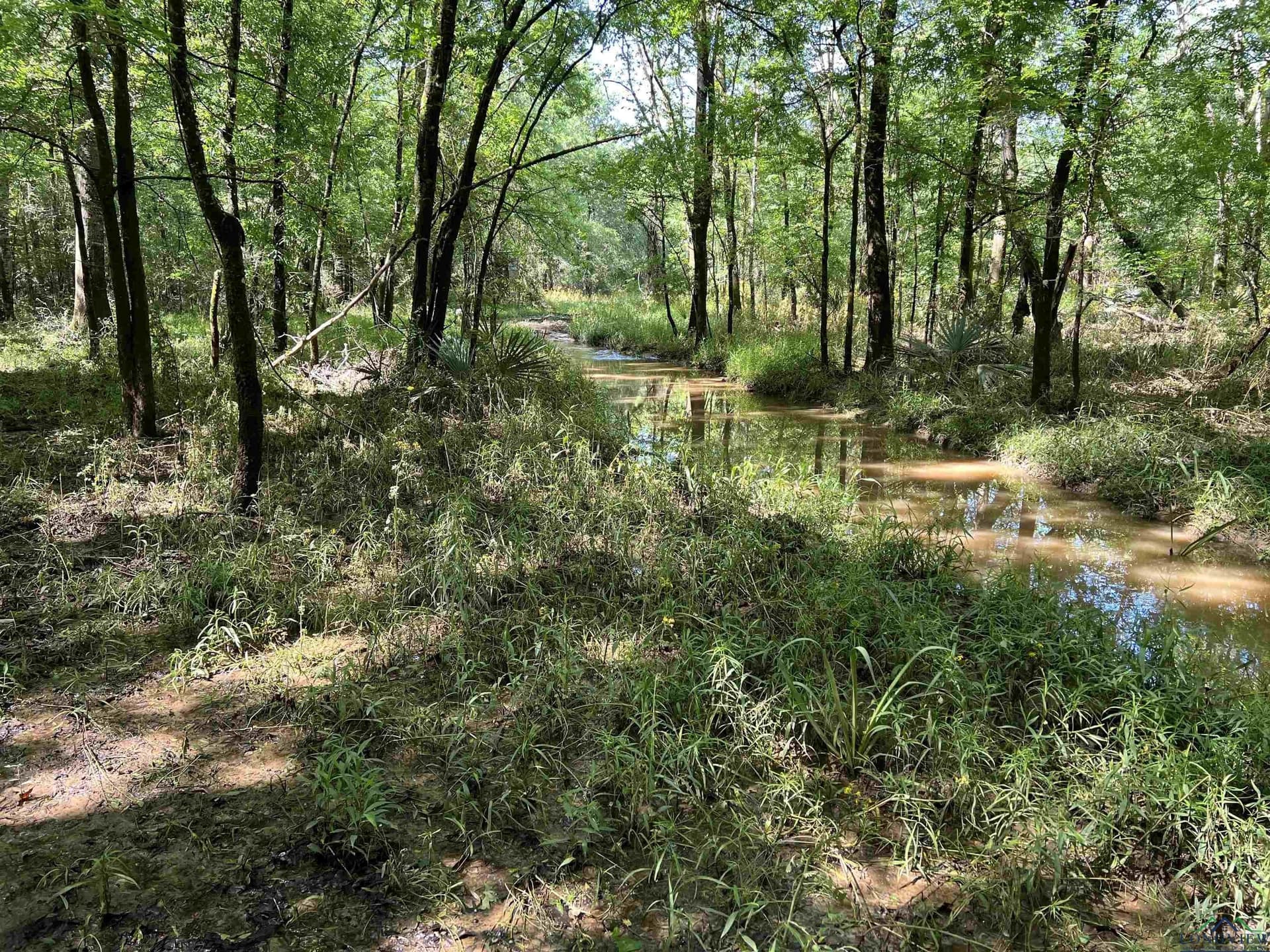 28.25 acres in Panola County - photo 7