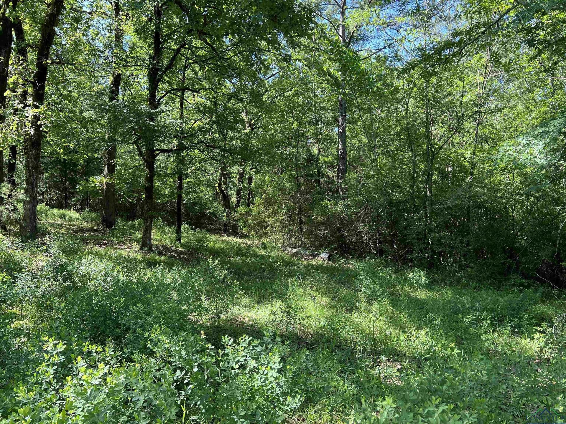 28.25 acres in Panola County - photo 5