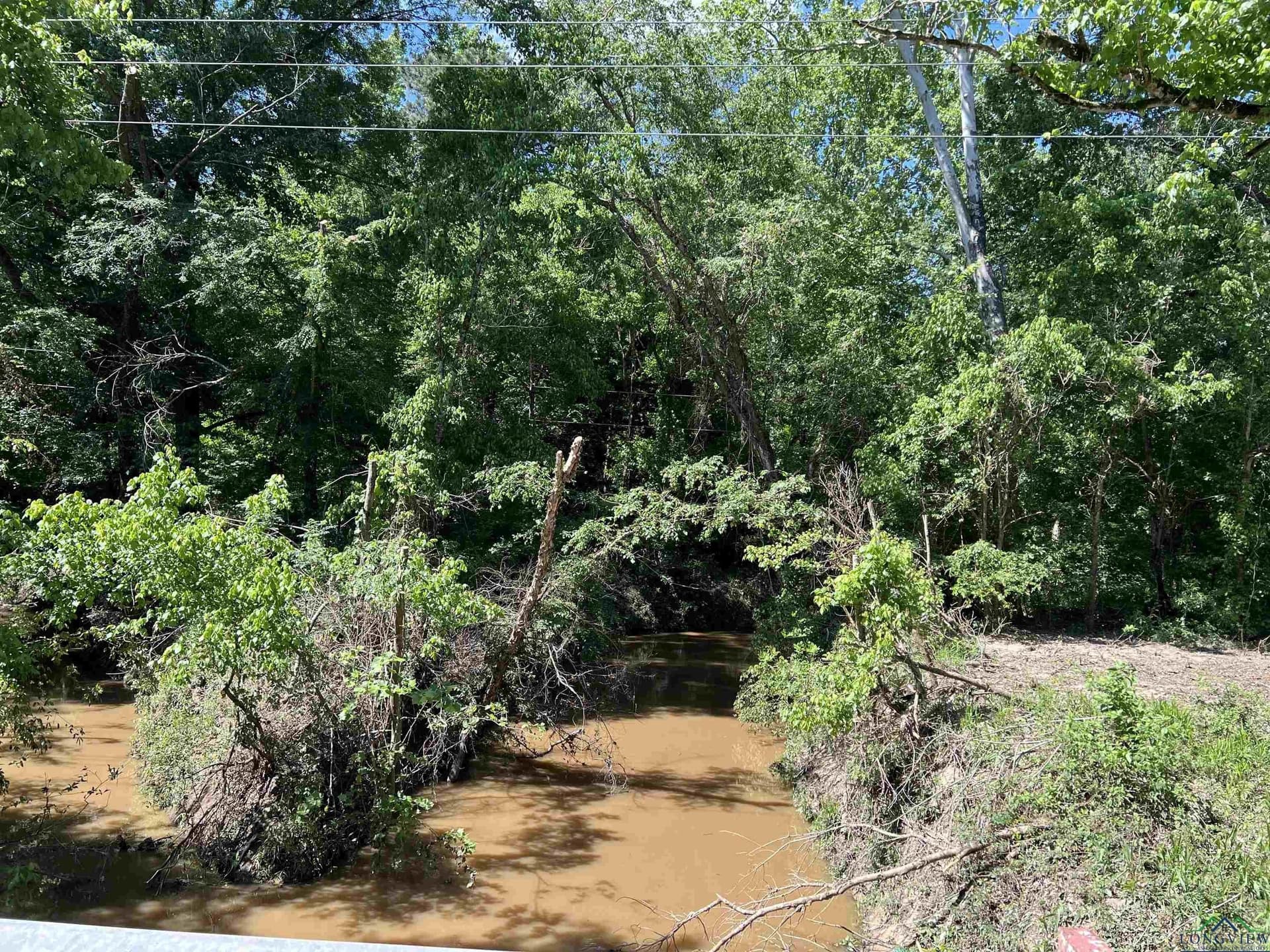 28.25 acres in Panola County - photo 9