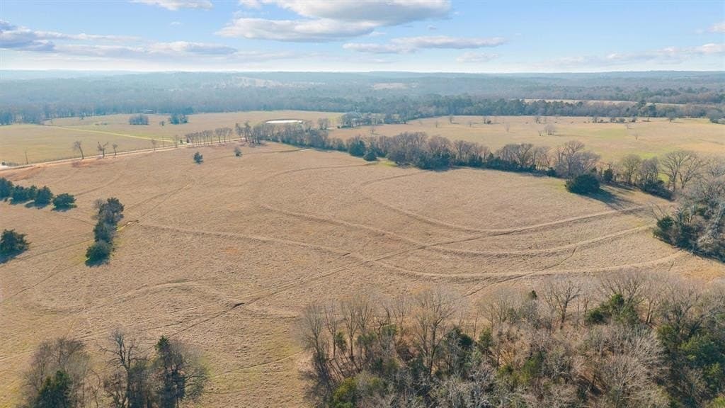 30.2 acres in Smith County - photo 13