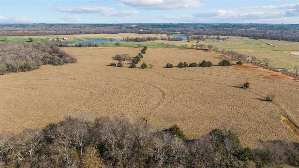 30.2 acres in Smith County - photo 11