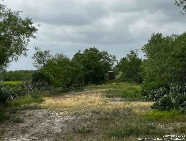 96.67 acres in Atascosa County - photo 5
