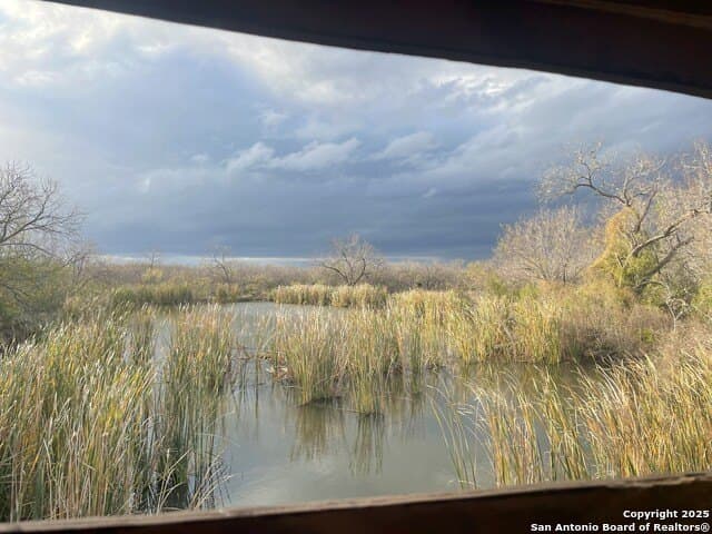 96.67 acres in Atascosa County - photo 48
