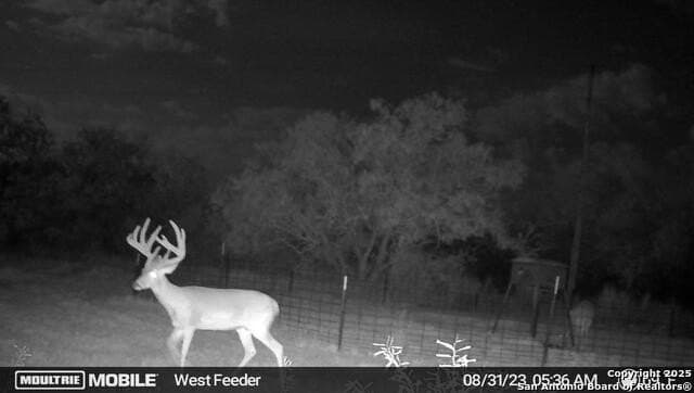 96.67 acres in Atascosa County - photo 39