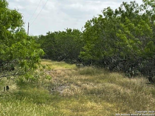 96.67 acres in Atascosa County - photo 42