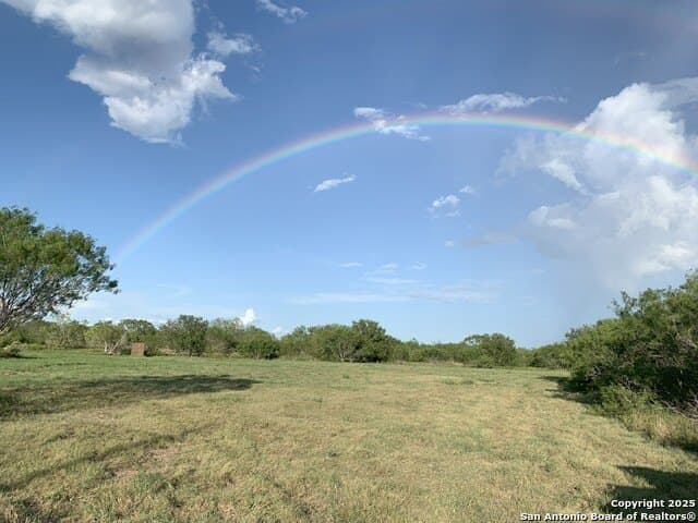 96.67 acres in Atascosa County - photo 2
