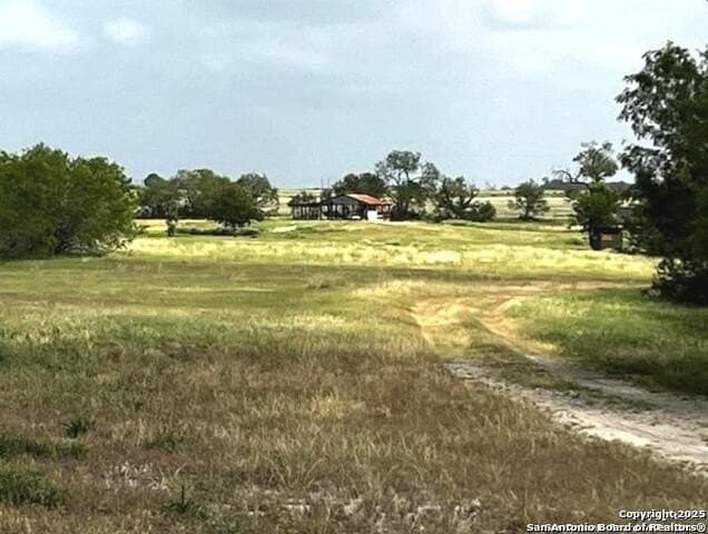 96.67 acres in Atascosa County - photo 14