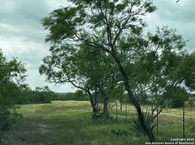 96.67 acres in Atascosa County - photo 10