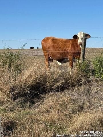 96.67 acres in Atascosa County - photo 30