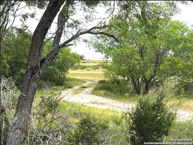 96.67 acres in Atascosa County - photo 34