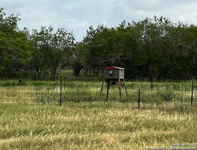 96.67 acres in Atascosa County - photo 4