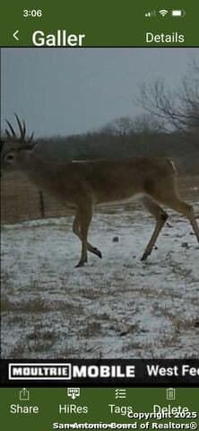 96.67 acres in Atascosa County - photo 18