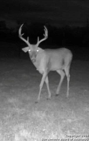 96.67 acres in Atascosa County - photo 43