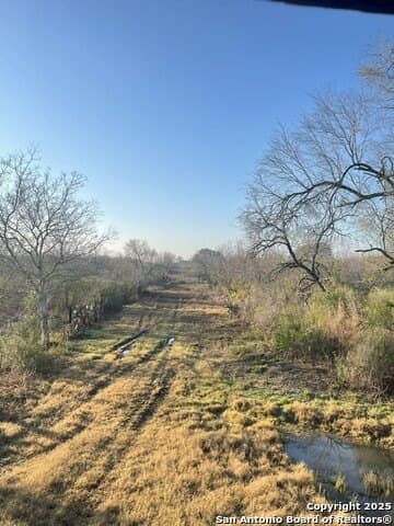 96.67 acres in Atascosa County - photo 23