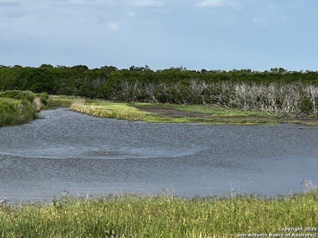 96.67 acres in Atascosa County - photo 12