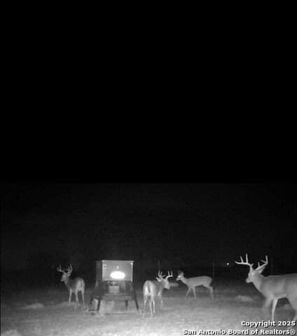 96.67 acres in Atascosa County - photo 15