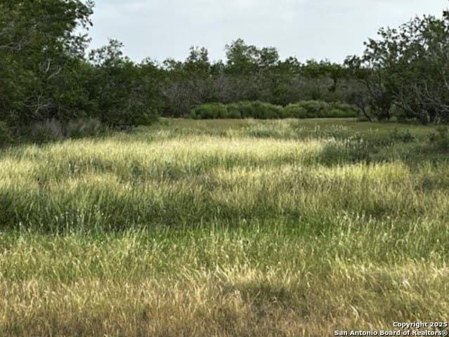 96.67 acres in Atascosa County - photo 40
