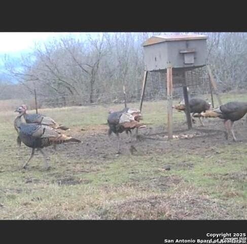 96.67 acres in Atascosa County - photo 21