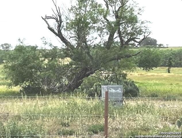 96.67 acres in Atascosa County - photo 13