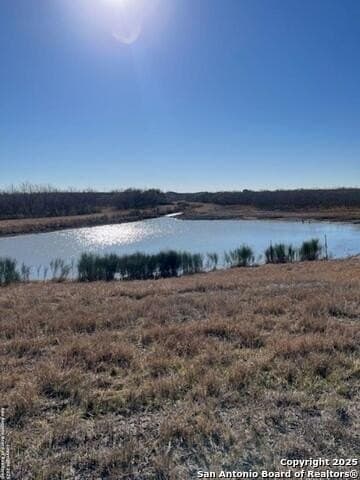 96.67 acres in Atascosa County - photo 3