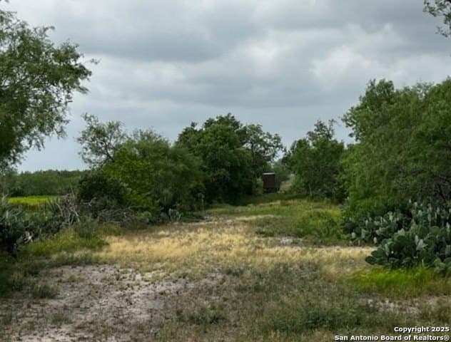 96.67 acres in Atascosa County - photo 28