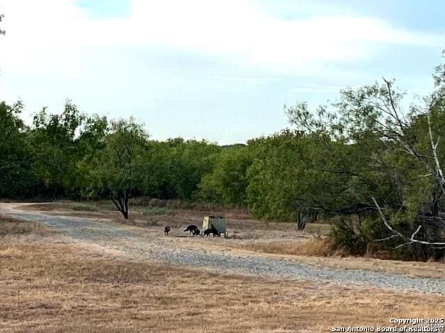 96.67 acres in Atascosa County - photo 38